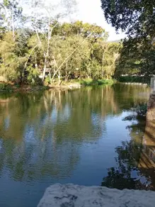 Imagem 4 - Terreno Condomínio em Horto Florestal, Ubatuba - SP
