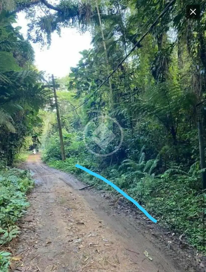 Image 2 - Terreno em Ressaca, Ubatuba - SP