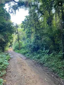 Imagem 5 - Terreno em Ressaca, Ubatuba - SP