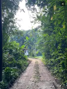 Imagem 6 - Terreno em Ressaca, Ubatuba - SP