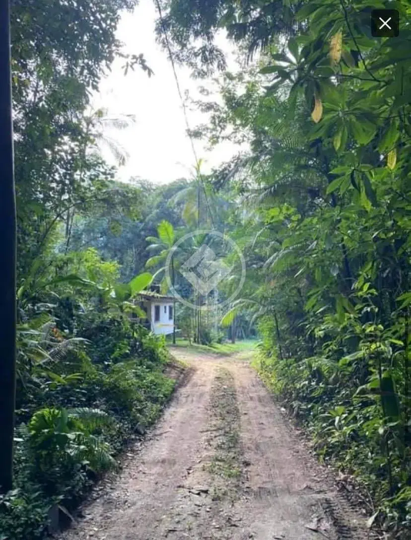 Image 7 - Terreno em Ressaca, Ubatuba - SP