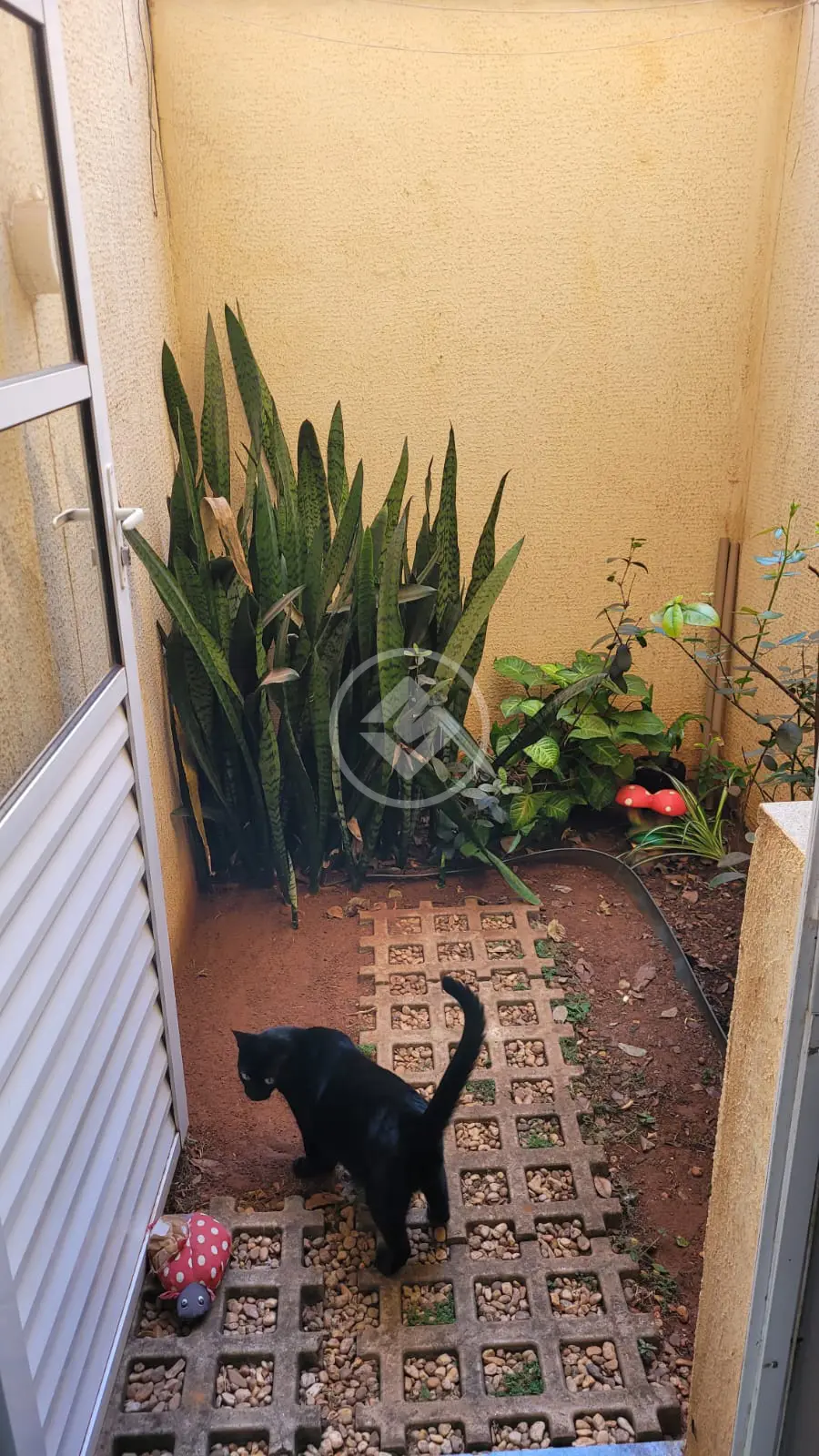 Imagem 6 - Apartamento em Jardim Europa, Uberlândia - MG