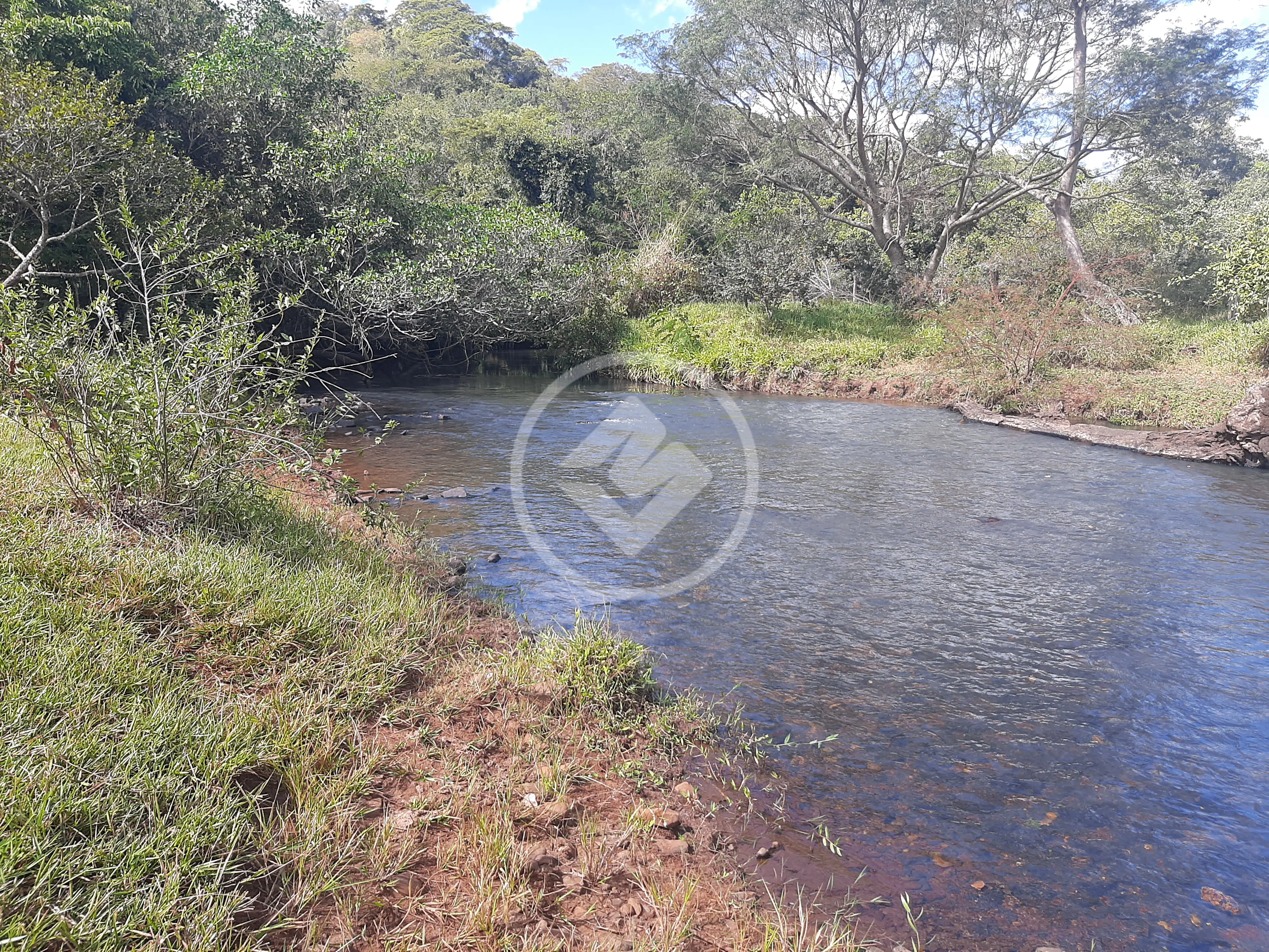 Imagem 3 - Sítio em Área Rural de Uberlândia, Uberlândia - MG