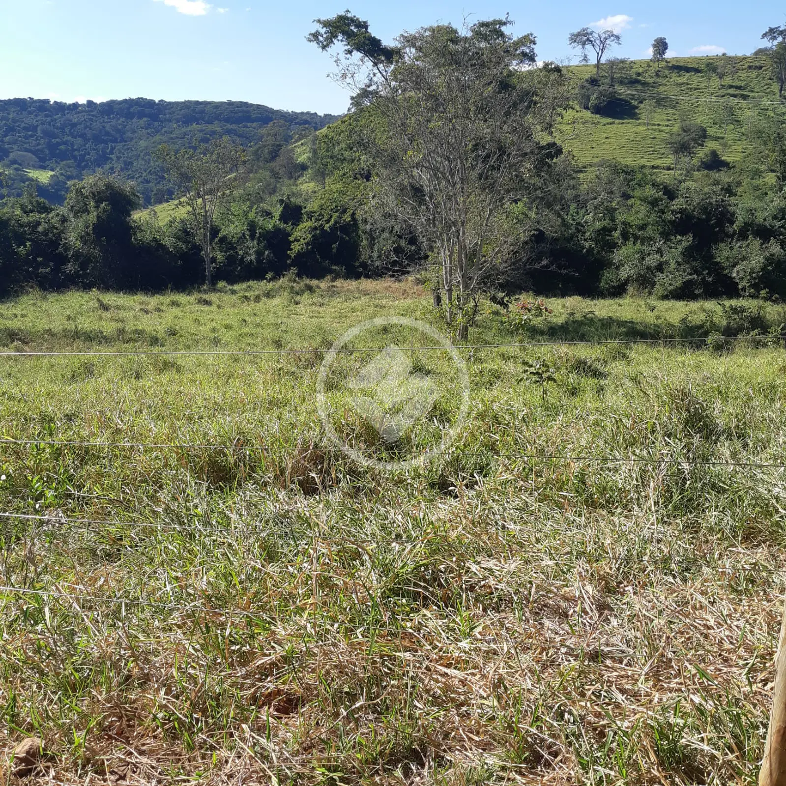 Imagem 4 - Sítio em Área Rural de Uberlândia, Uberlândia - MG