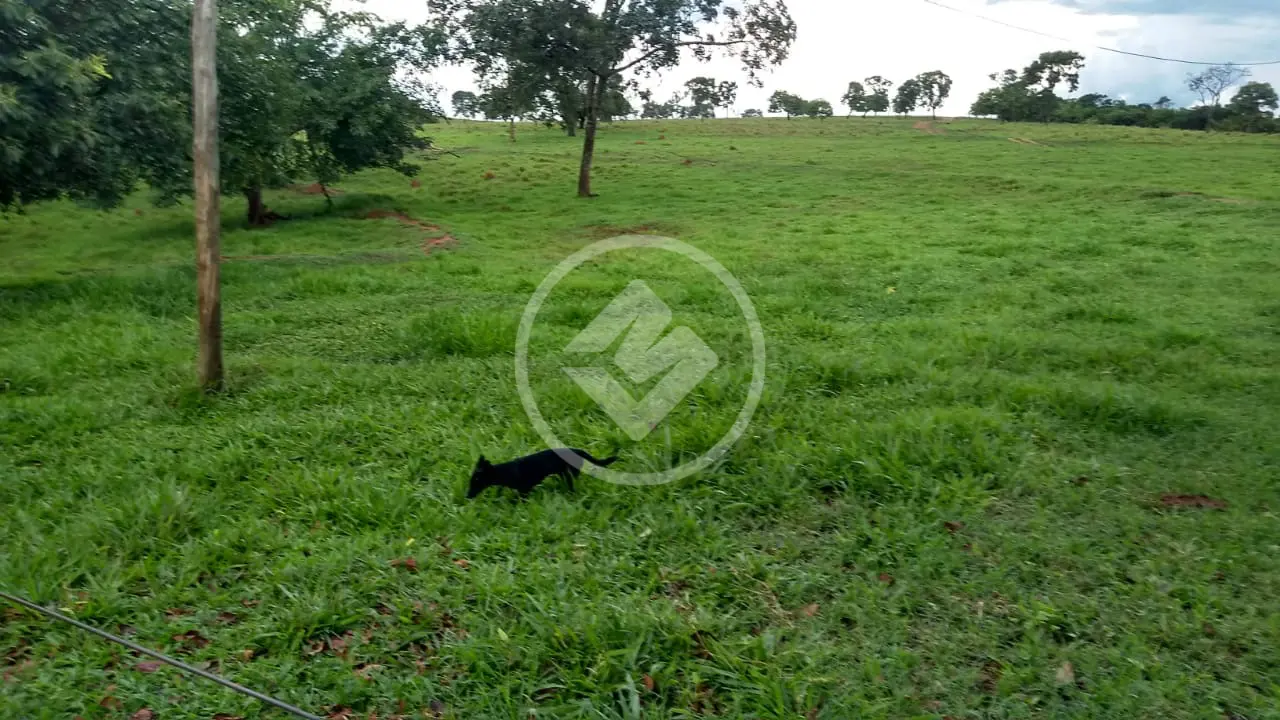 Imagem 3 - Fazenda em Zona Rural, Prata - MG