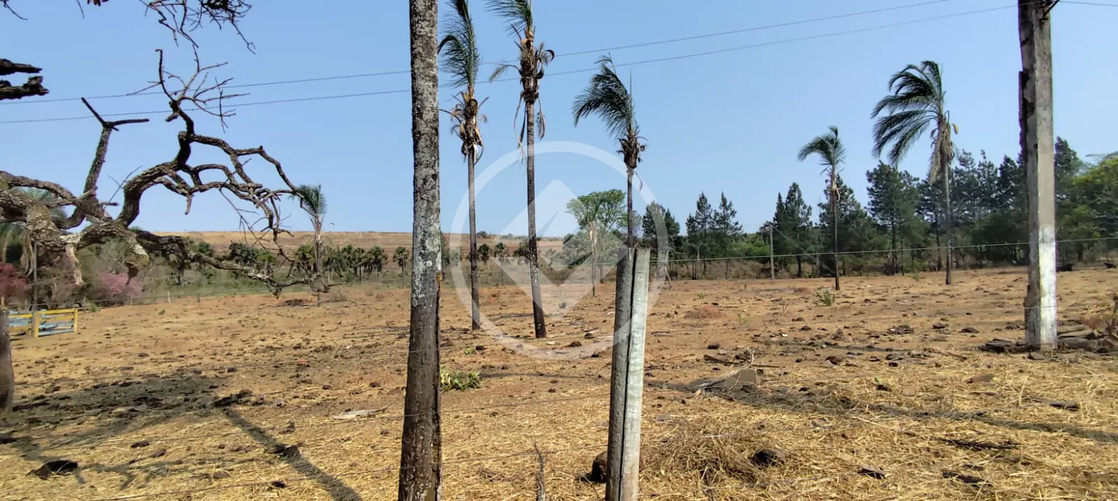 Imagem 1 - Chácara em Área Rural de Uberlândia, Uberlândia - MG