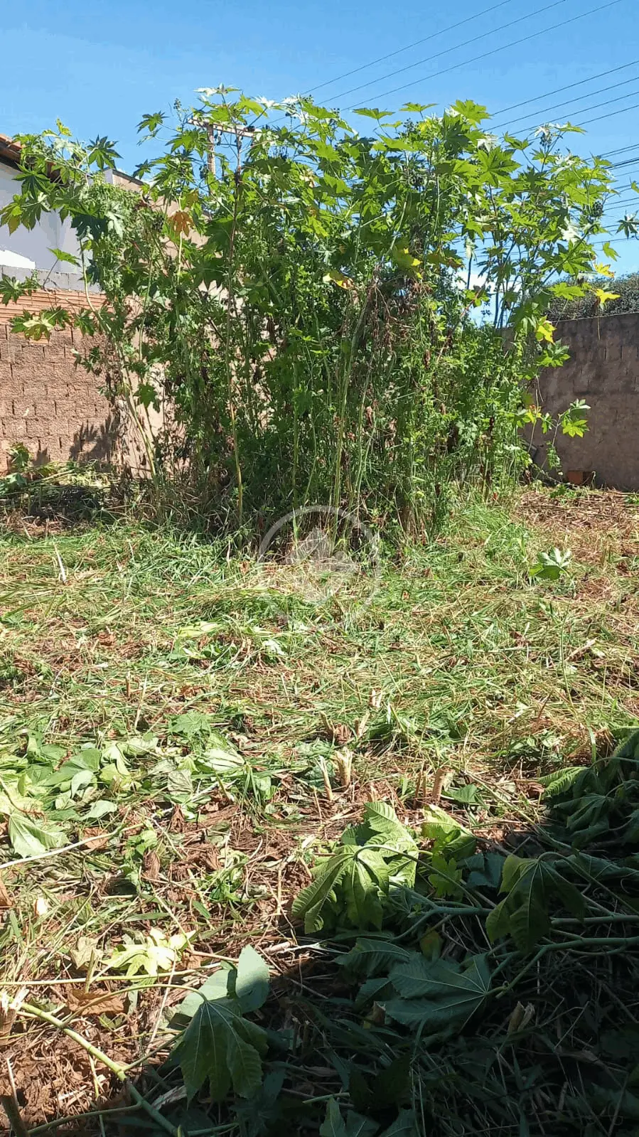 Imagem 1 - Terreno em Presidente Roosevelt, Uberlândia - MG
