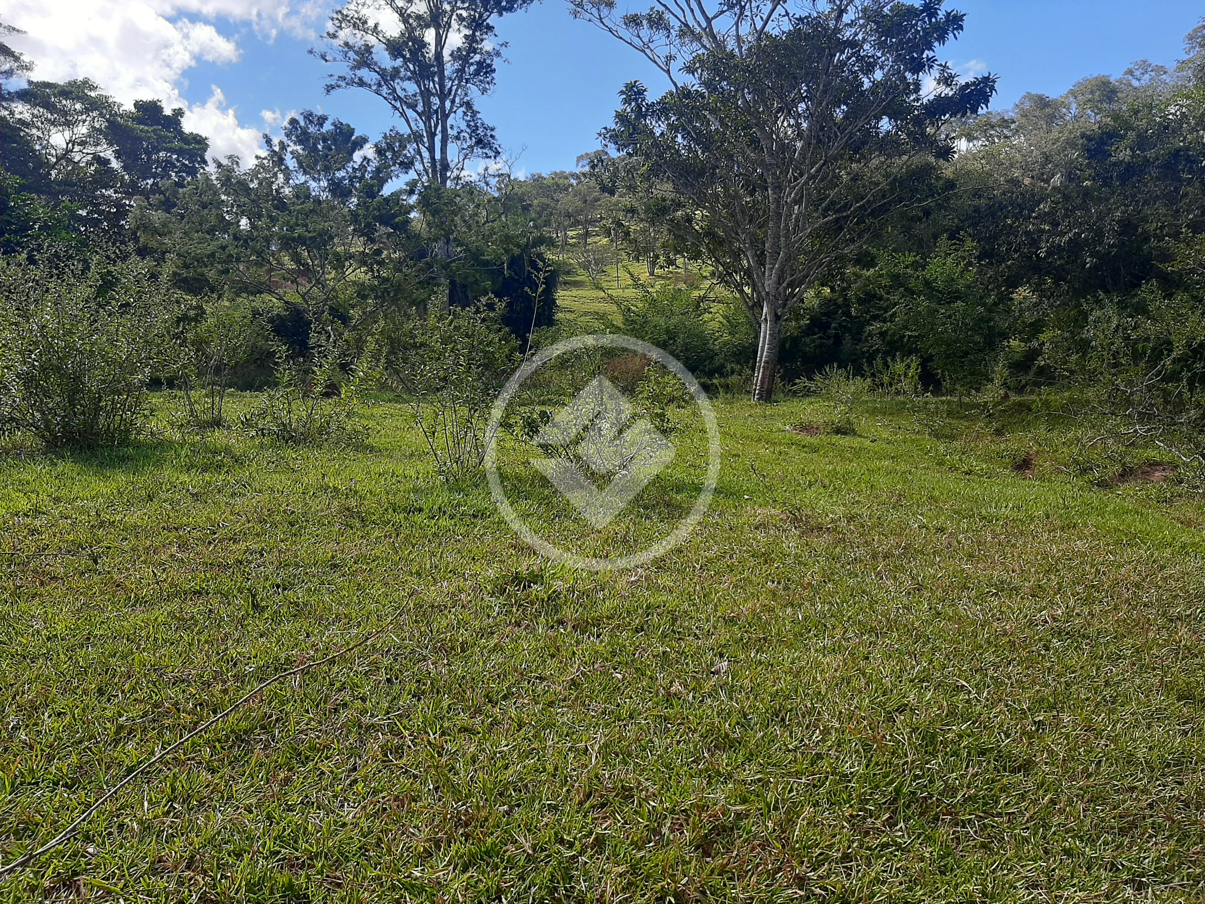 Imagem 2 - Sítio em Área Rural de Uberlândia, Uberlândia - MG