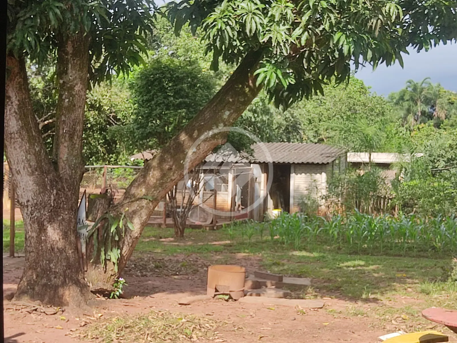 Imagem 6 - Chácara em Jockey Camping, Uberlândia - MG