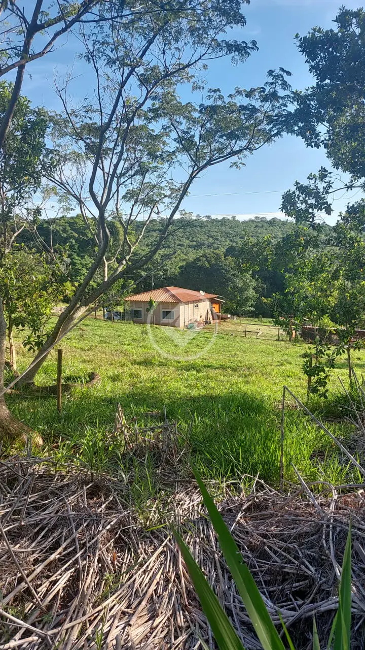 Image 10 - Sítio em Área Rural de Uberlândia, Uberlândia - MG