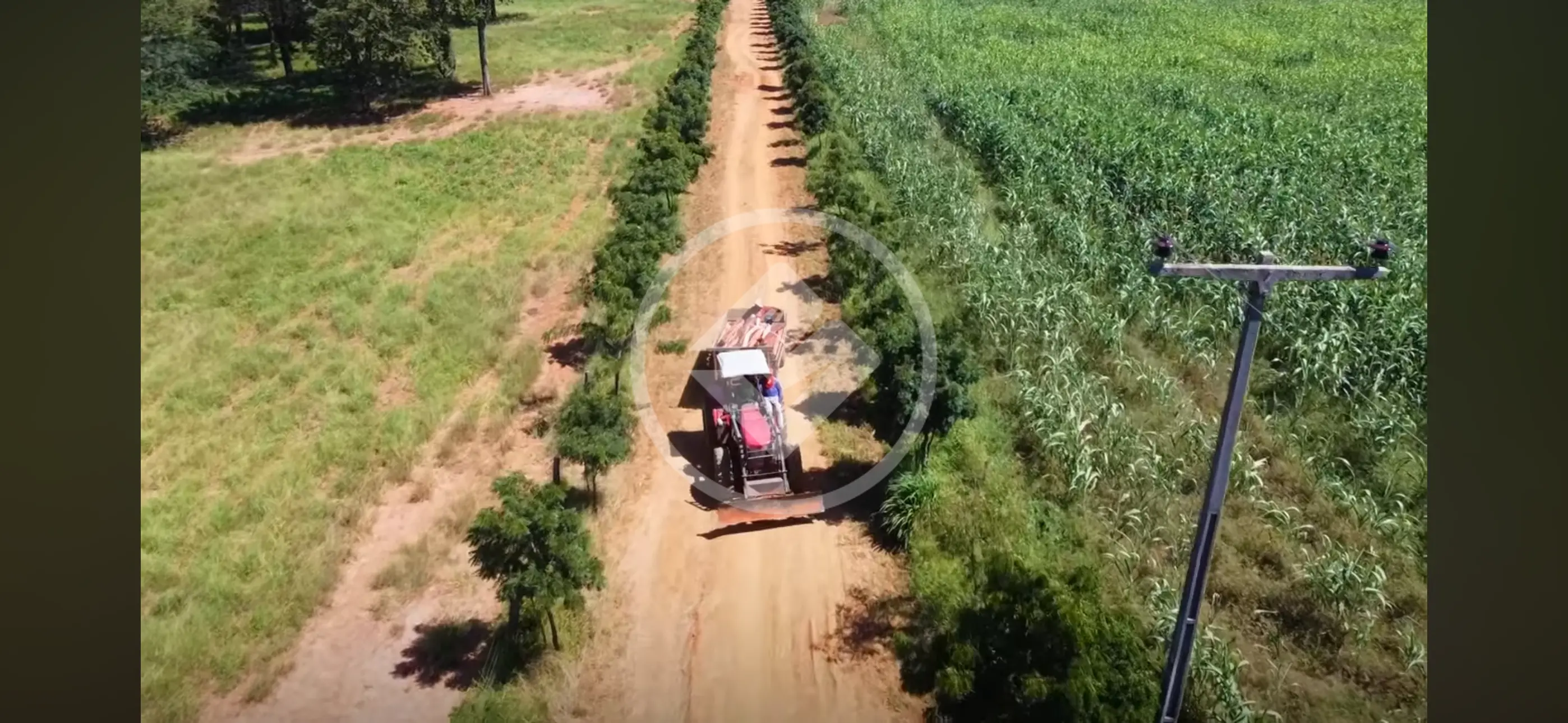 Imagem 3 - Fazenda em Centro, Wanderley - BA