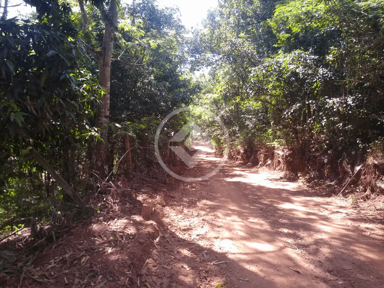 Imagem 3 - Chácara em Área Rural de Uberlândia, Uberlândia - MG