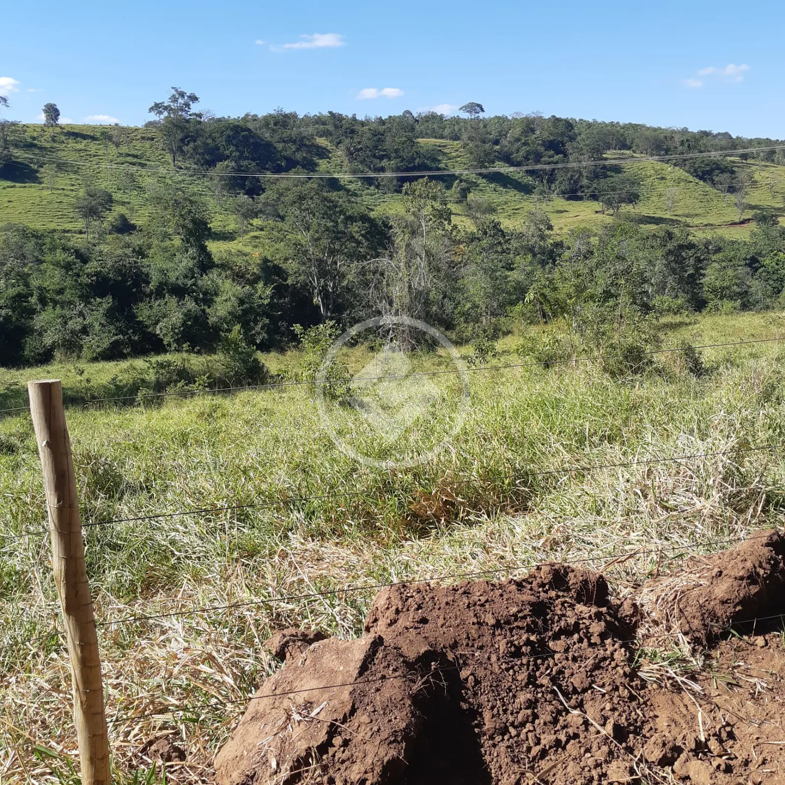 Sítio Área Rural de Uberlândia, Uberlândia - MG — foto 2