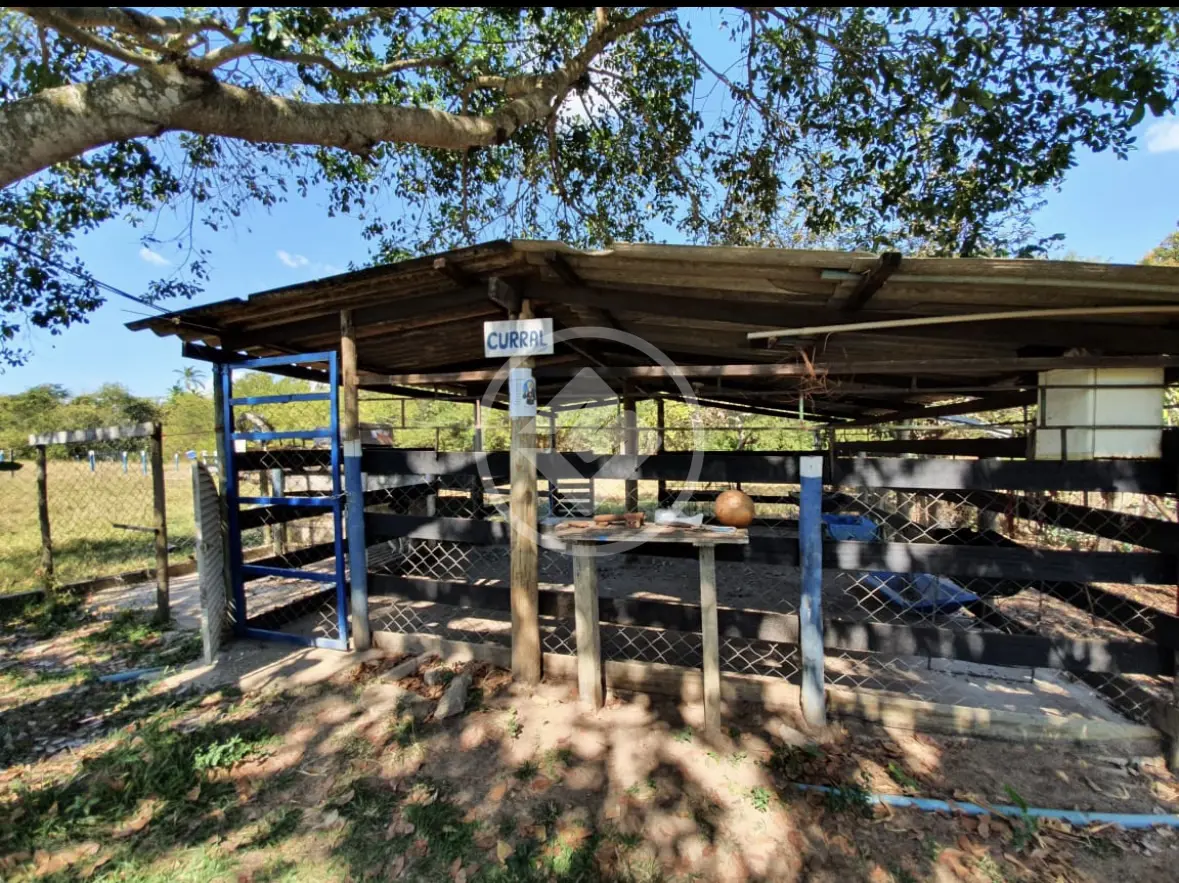 Image 9 - Fazenda em Área Rural de Uberlândia, Uberlândia - MG