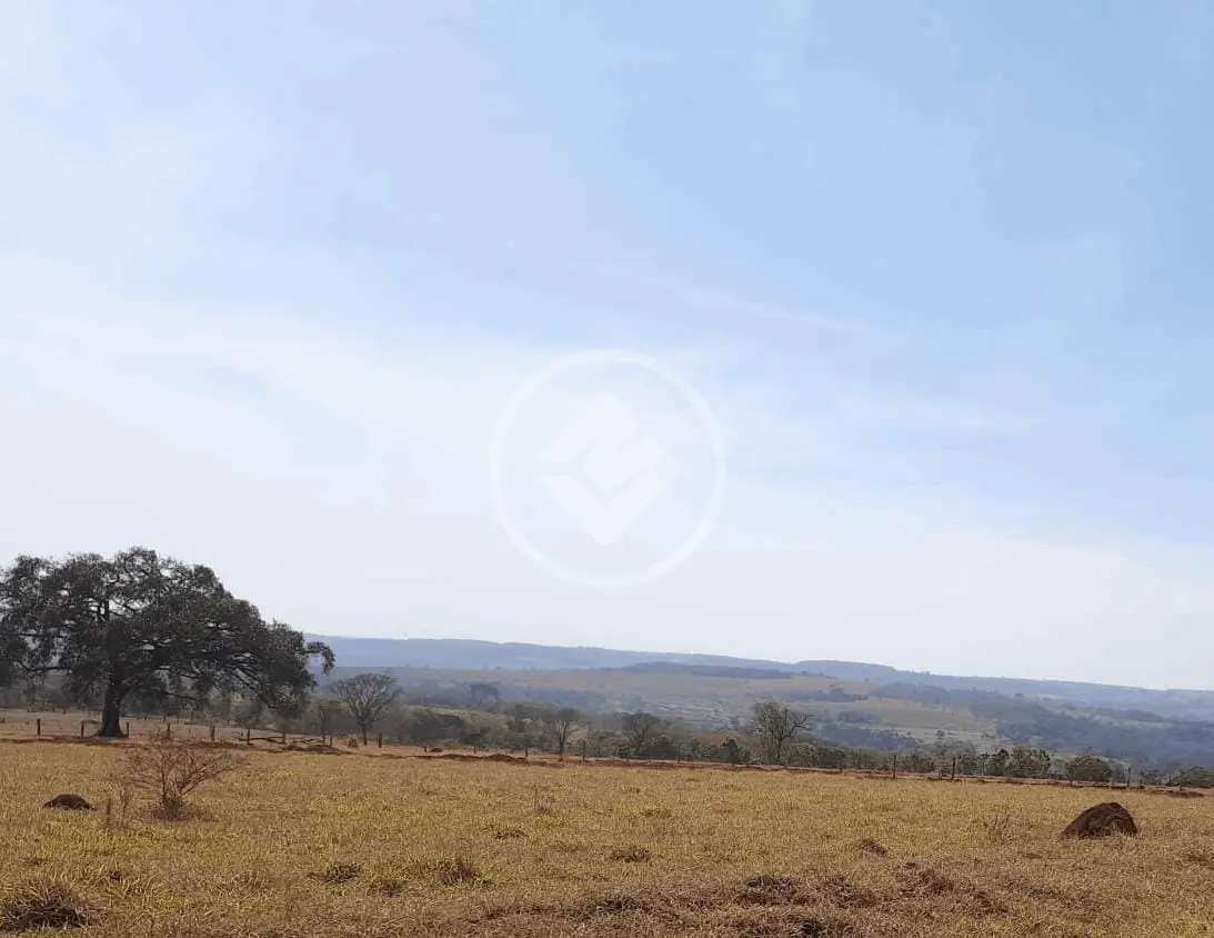Imagem 6 - Sítio em Área Rural de Uberlândia, Uberlândia - MG