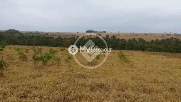 Imagem 1 - Sítio em Zona Rural, Monte Alegre de Minas - MG