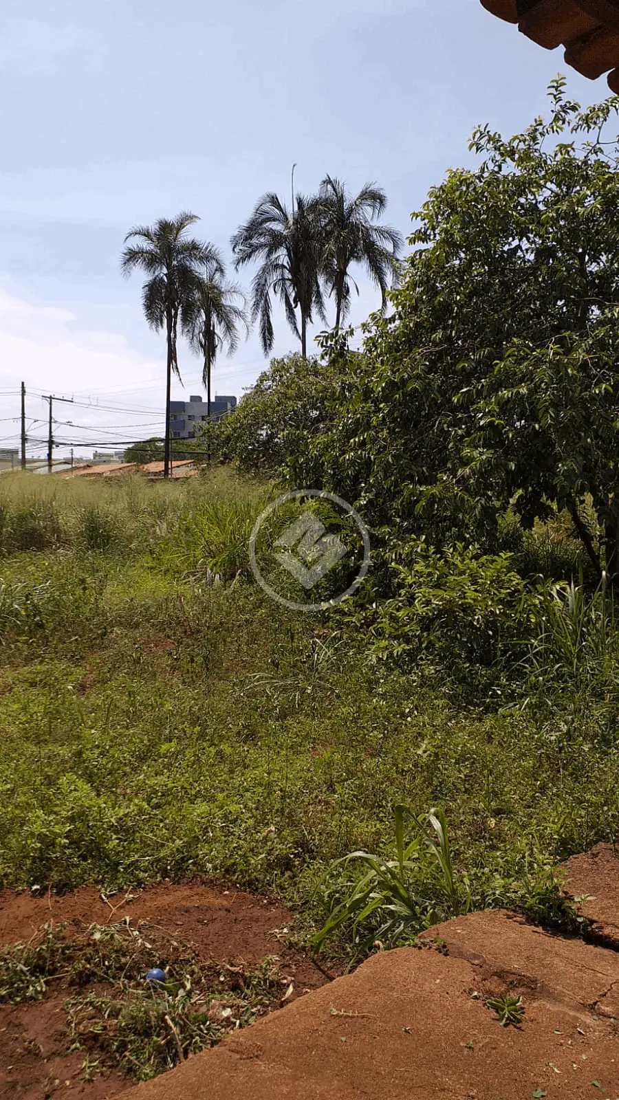 Imagem 1 - Terreno em Chácaras Tubalina e Quartel, Uberlândia - MG
