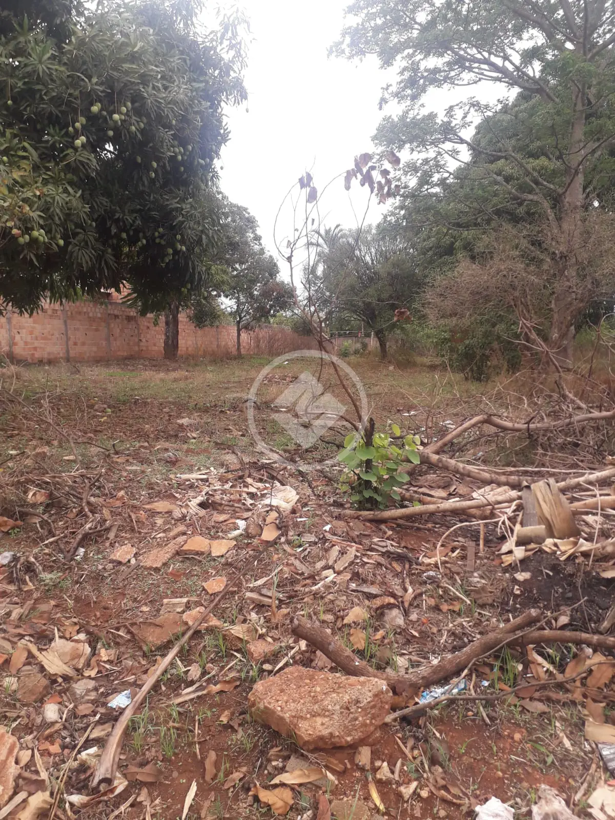 Terreno Morada Nova, Uberlândia - MG — foto 2