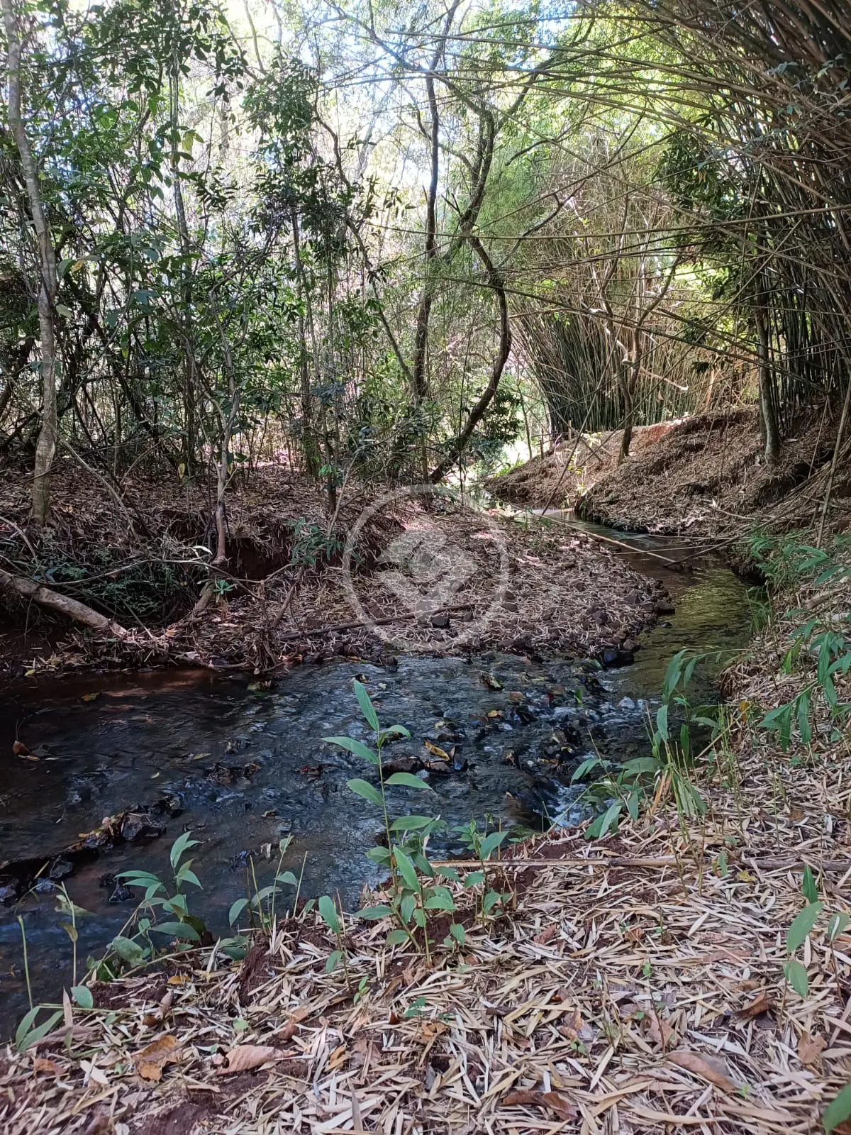 Imagem 2 - Sítio em Área Rural de Uberlândia, Uberlândia - MG