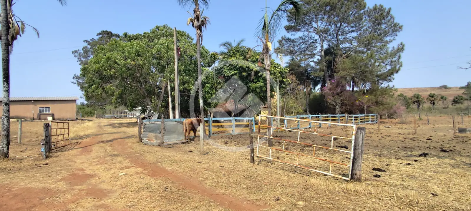 Imagem 1 - Chácara em Área Rural de Uberlândia, Uberlândia - MG