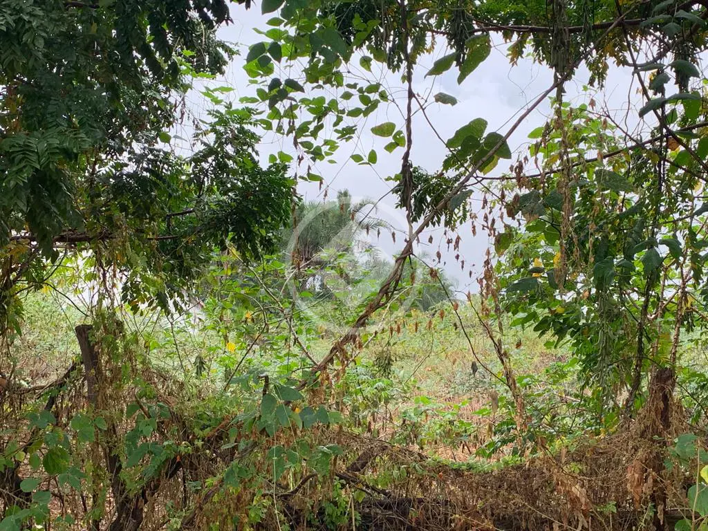 Terreno Morada Nova, Uberlândia - MG — foto 2