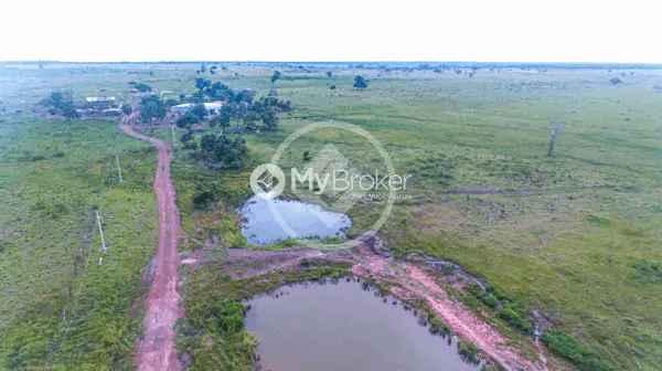 Imagem 2 - Fazenda em Fazenda São Domingos, Goiânia - GO