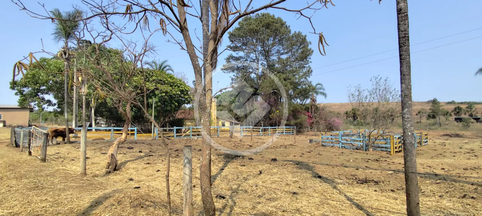 Imagem 5 - Chácara em Área Rural de Uberlândia, Uberlândia - MG