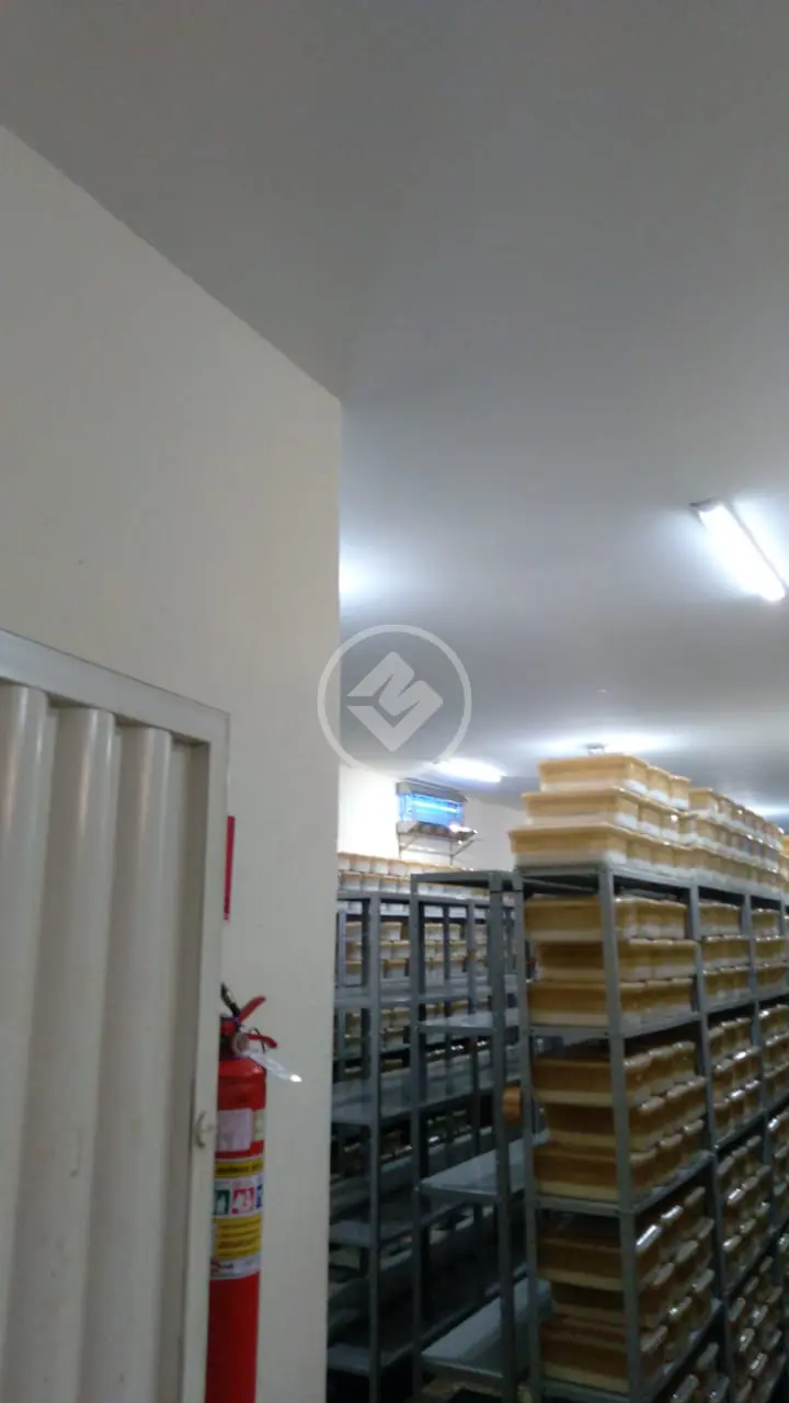 Galpão Alto Umuarama, Uberlândia - MG — foto 1