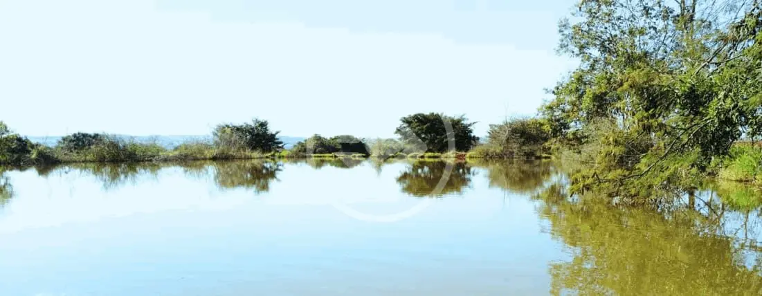 Imagem 3 - Sítio em Área Rural de Uberlândia, Uberlândia - MG