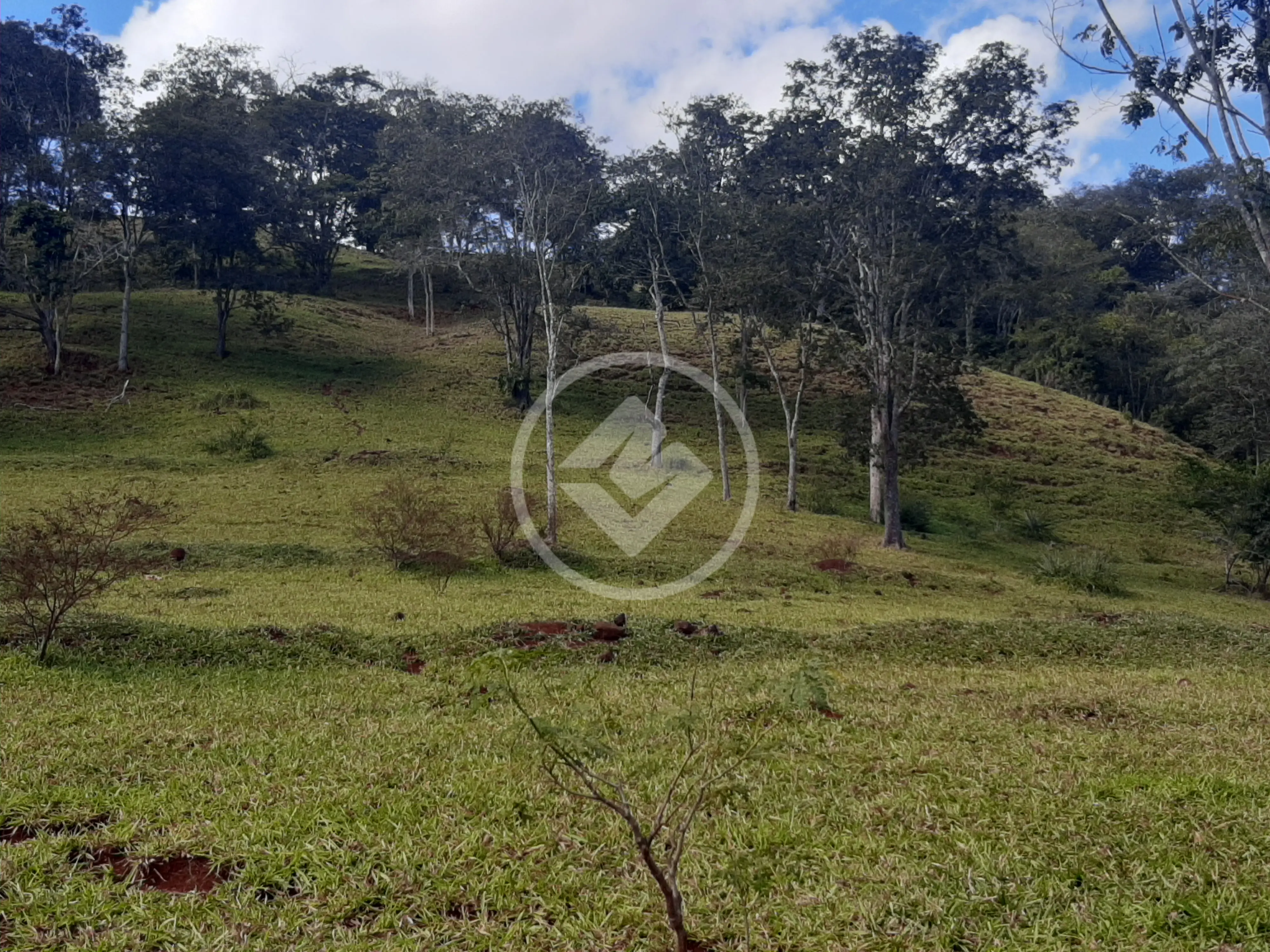Sítio Área Rural de Uberlândia, Uberlândia - MG — foto 2