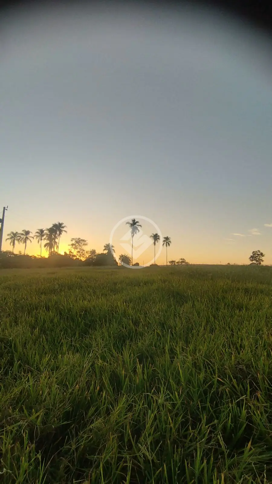Imagem 1 - Fazenda em Camargo, Ituiutaba - MG