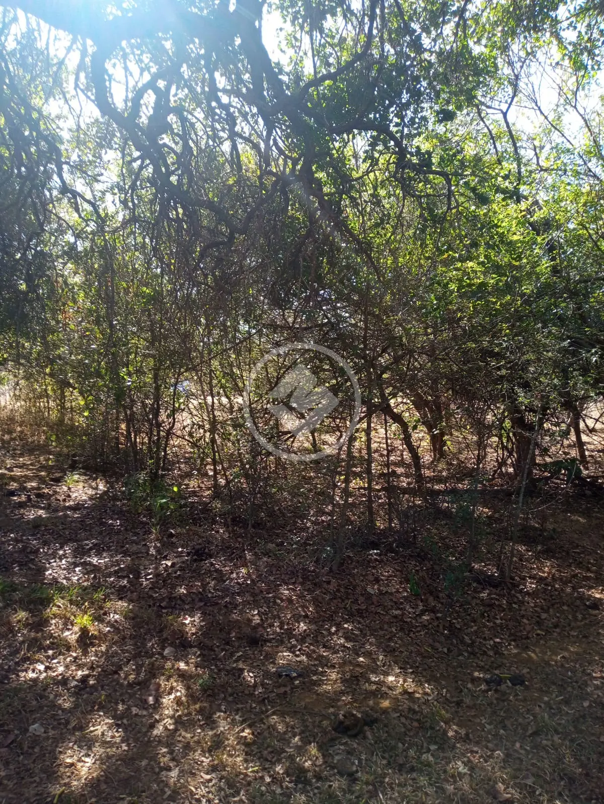 Fazenda Rural, Miravânia - MG — foto 1