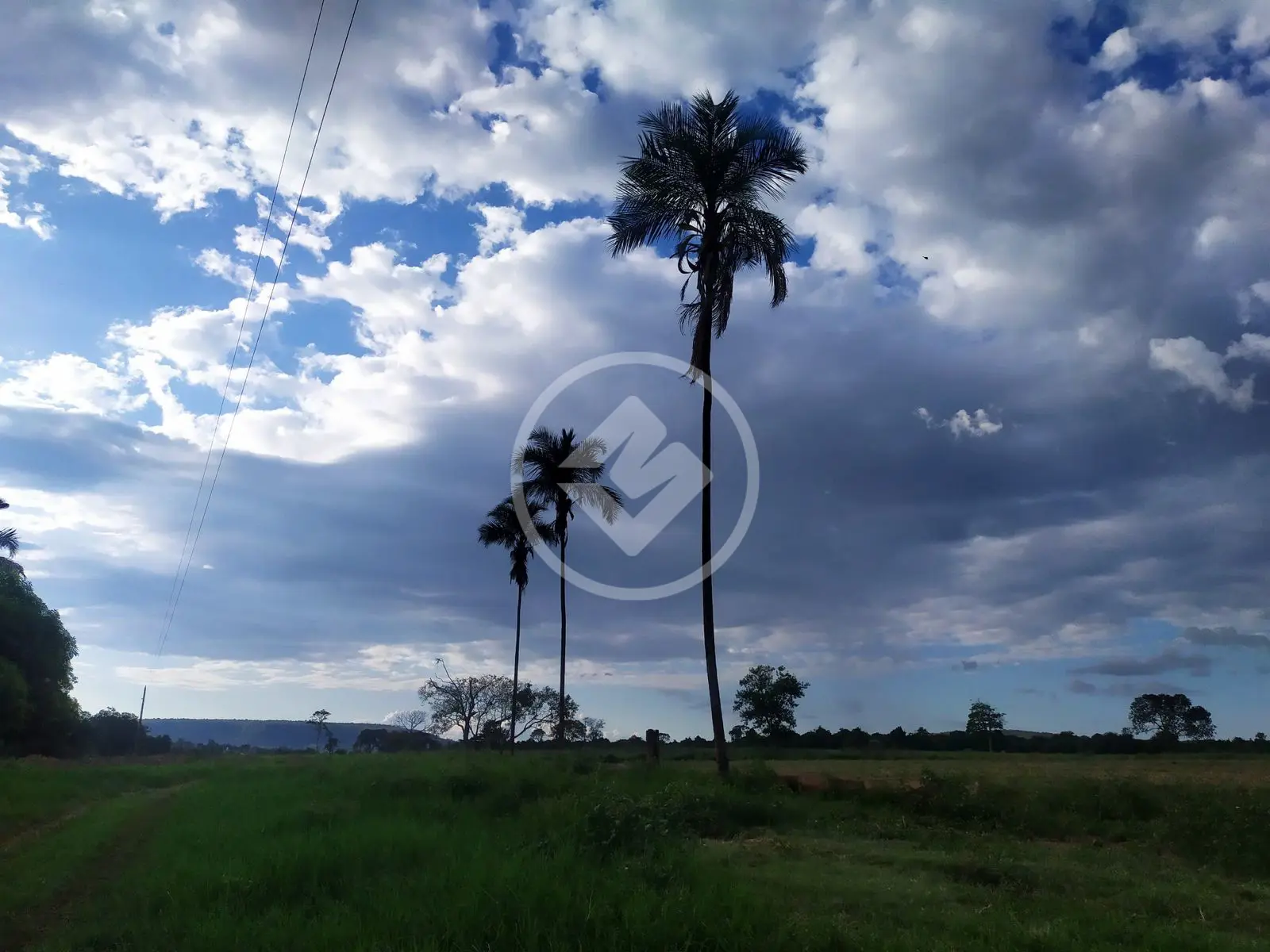 Imagem 3 - Fazenda em Camargo, Ituiutaba - MG