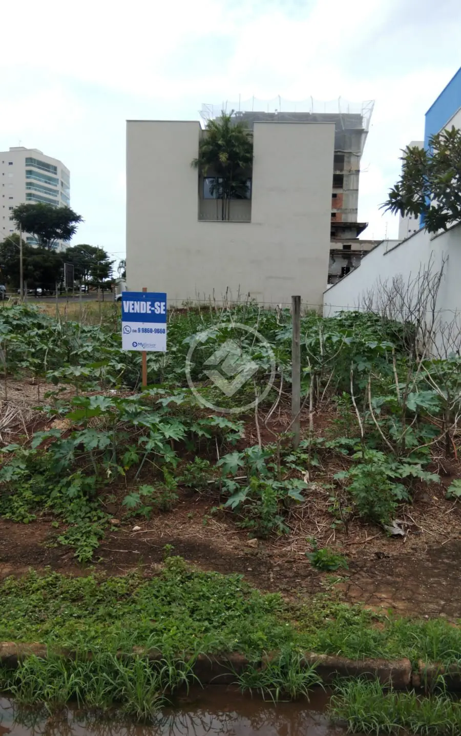 Terreno Jardim Colina, Uberlândia - MG — foto 1