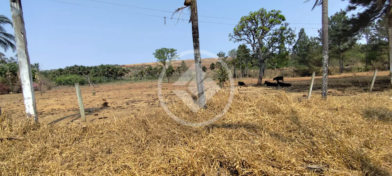 Imagem 3 - Chácara em Área Rural de Uberlândia, Uberlândia - MG