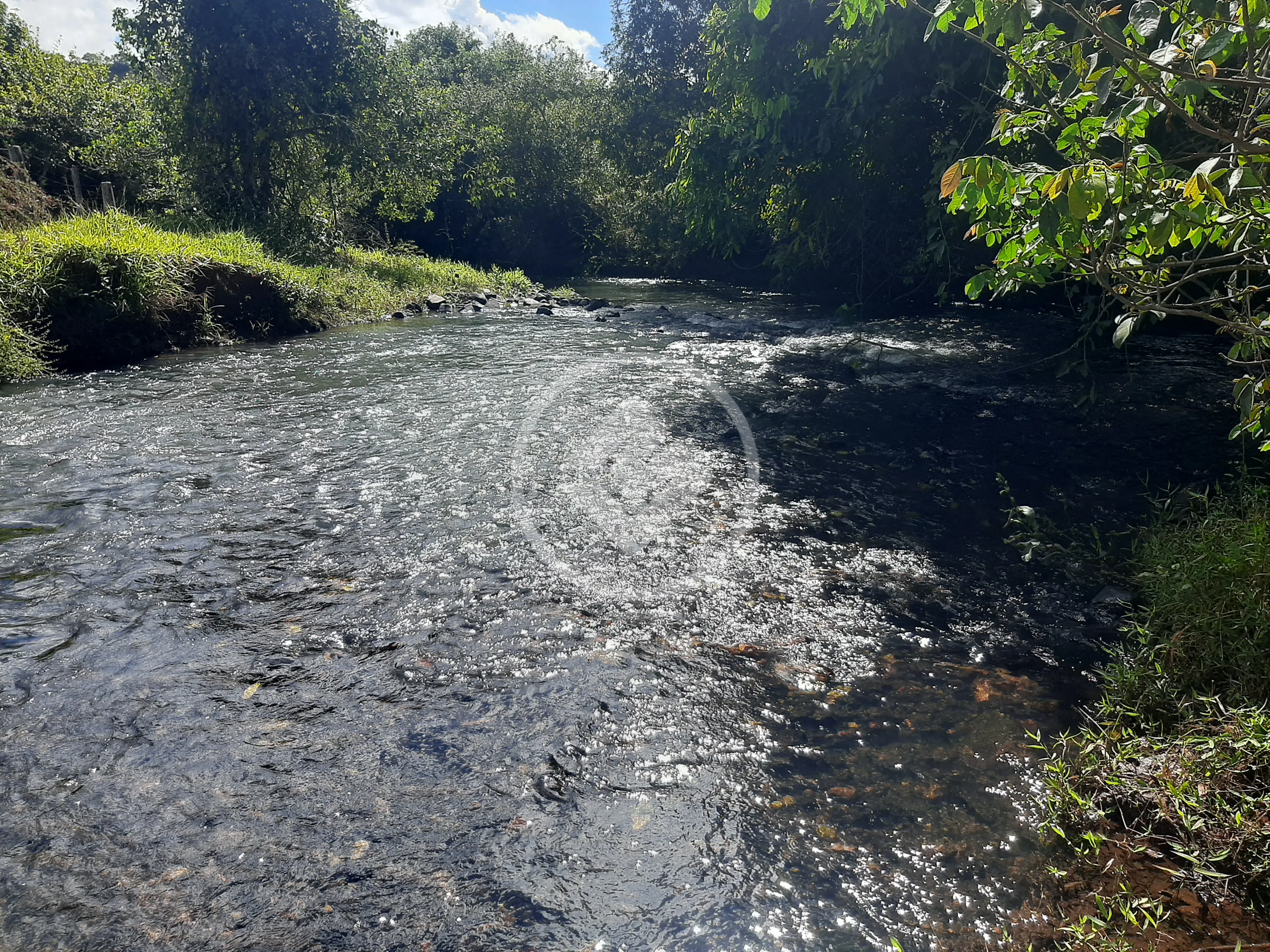 Sítio Área Rural de Uberlândia, Uberlândia - MG — foto 1