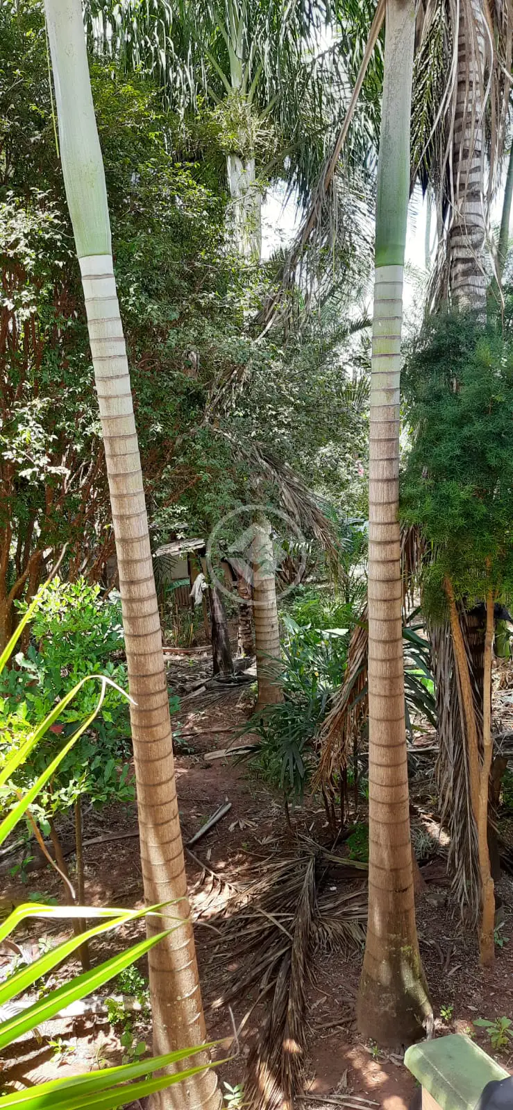 Chácara Morada Nova, Uberlândia - MG — foto 1
