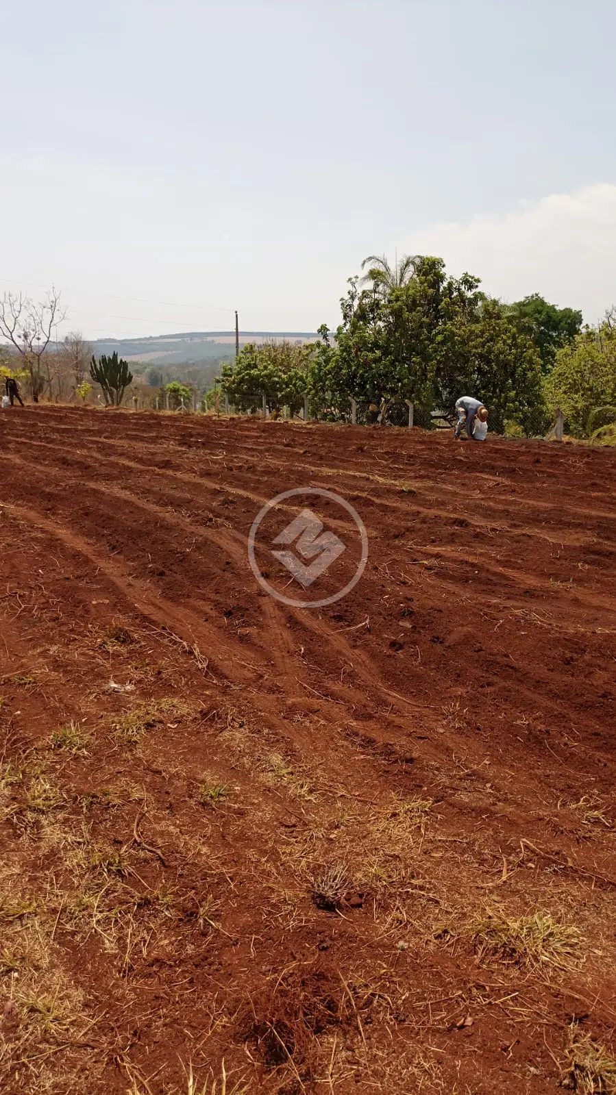 Imagem 2 - Chácara em Área Rural de Uberlândia, Uberlândia - MG
