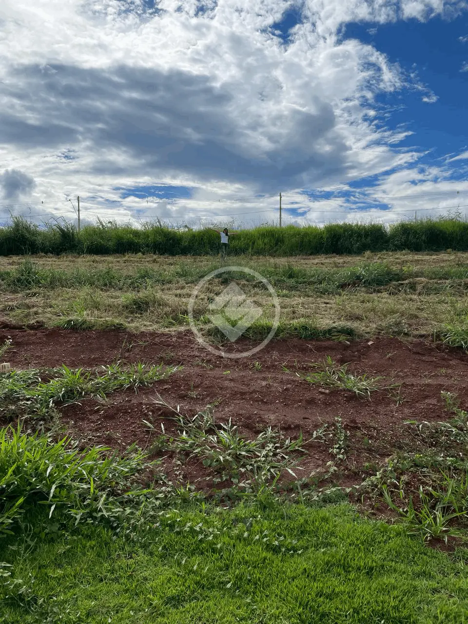 Terreno Condomínio Granja Marileusa, Uberlândia - MG — foto 1
