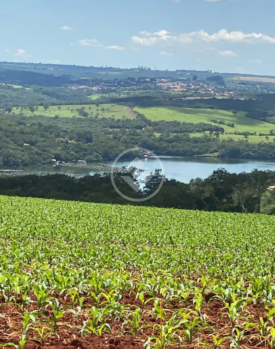 Imagem 5 - Chácara em Área Rural de Uberlândia, Uberlândia - MG