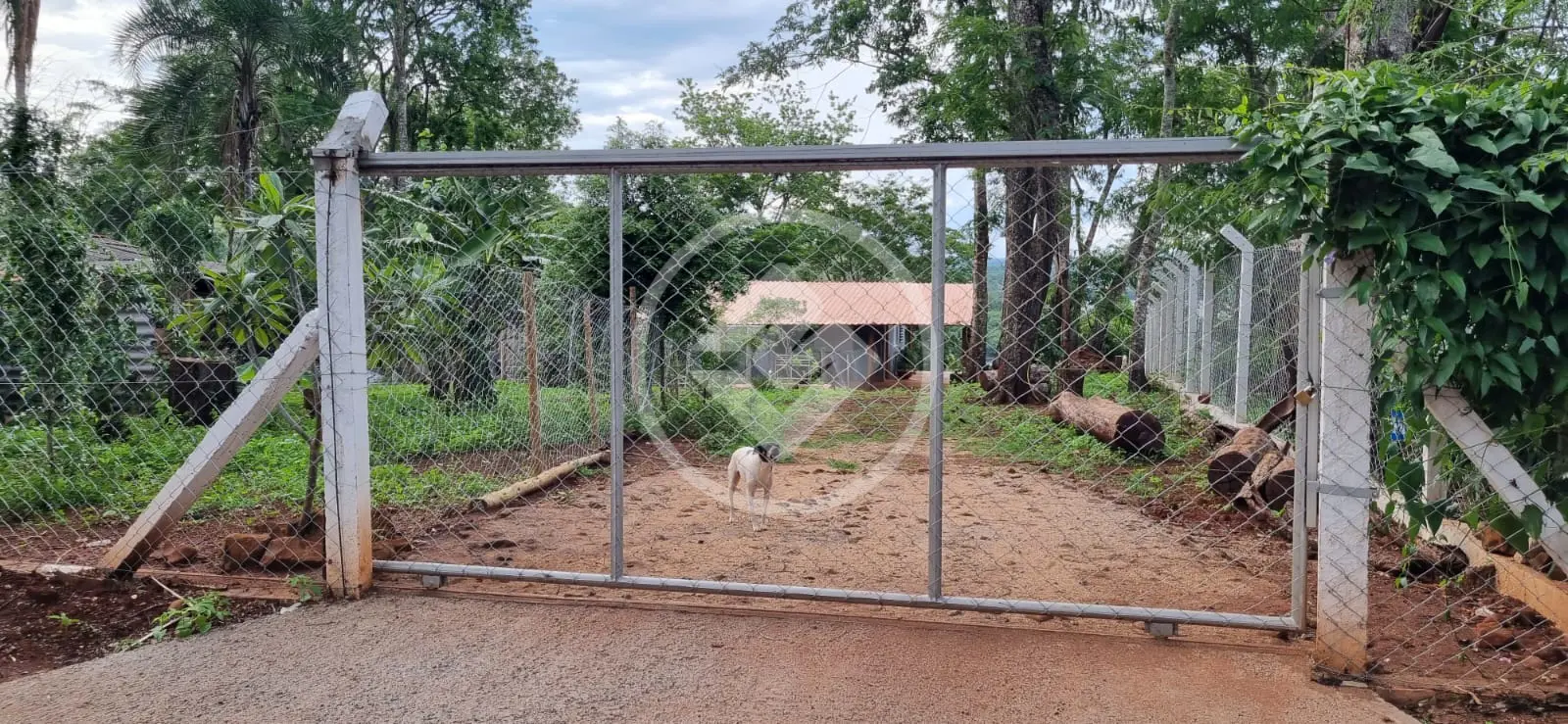 Imagem 6 - Chácara em Área Rural de Uberlândia, Uberlândia - MG