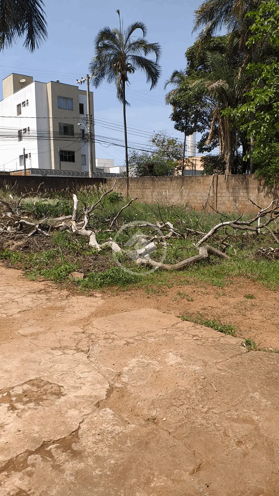 Imagem 4 - Terreno em Chácaras Tubalina e Quartel, Uberlândia - MG