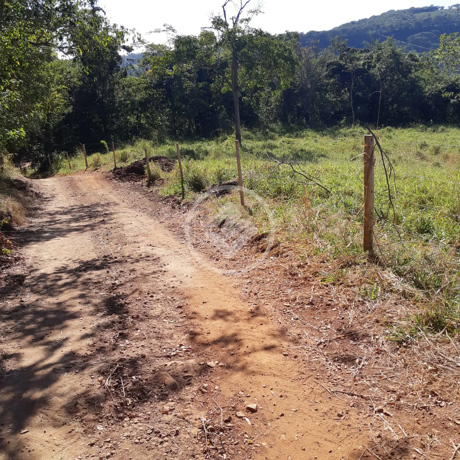 Image 9 - Sítio em Área Rural de Uberlândia, Uberlândia - MG