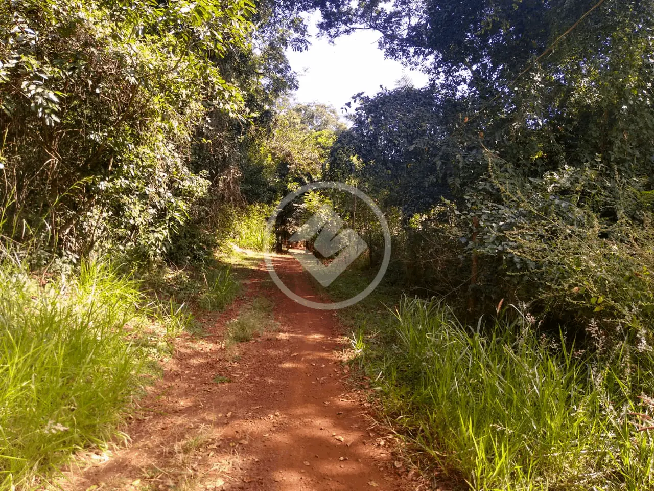 Chácara Área Rural de Uberlândia, Uberlândia - MG — foto 2