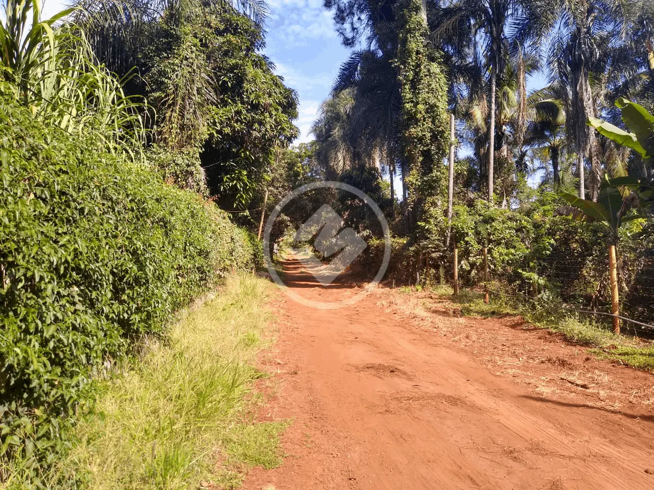 Imagem 2 - Chácara em Área Rural de Uberlândia, Uberlândia - MG