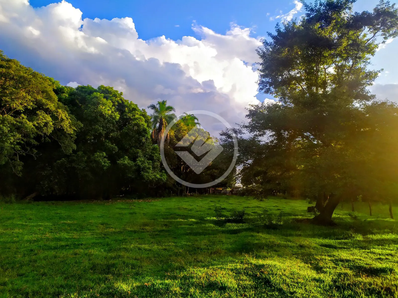 Imagem 1 - Fazenda em Camargo, Ituiutaba - MG