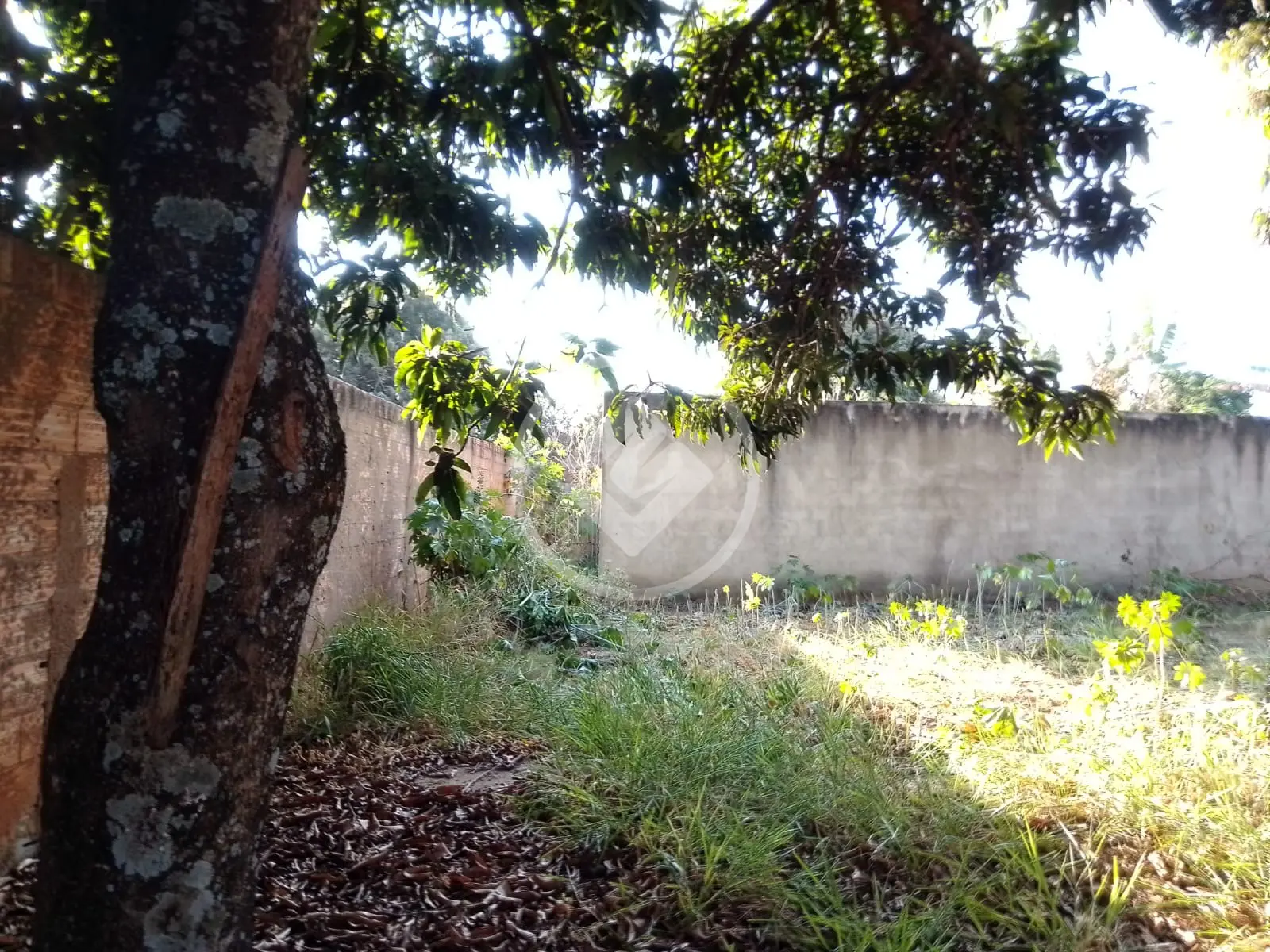 Imagem 1 - Terreno em Morada Nova, Uberlândia - MG