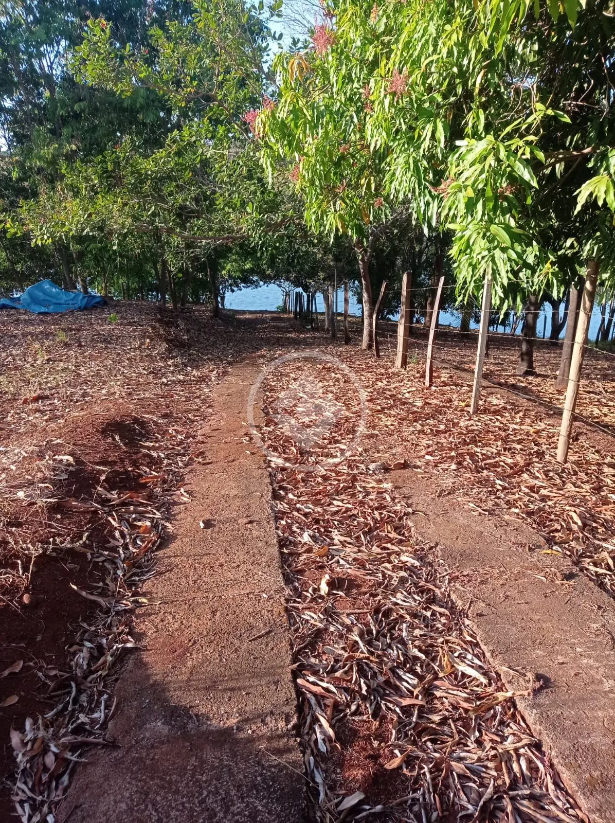 Imagem 2 - Chácara em Zona Rural, Indianópolis - MG