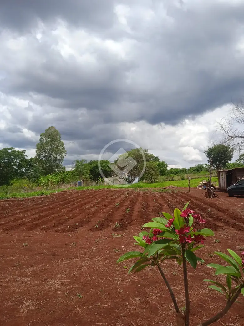 Chácara Área Rural de Uberlândia, Uberlândia - MG — foto 1