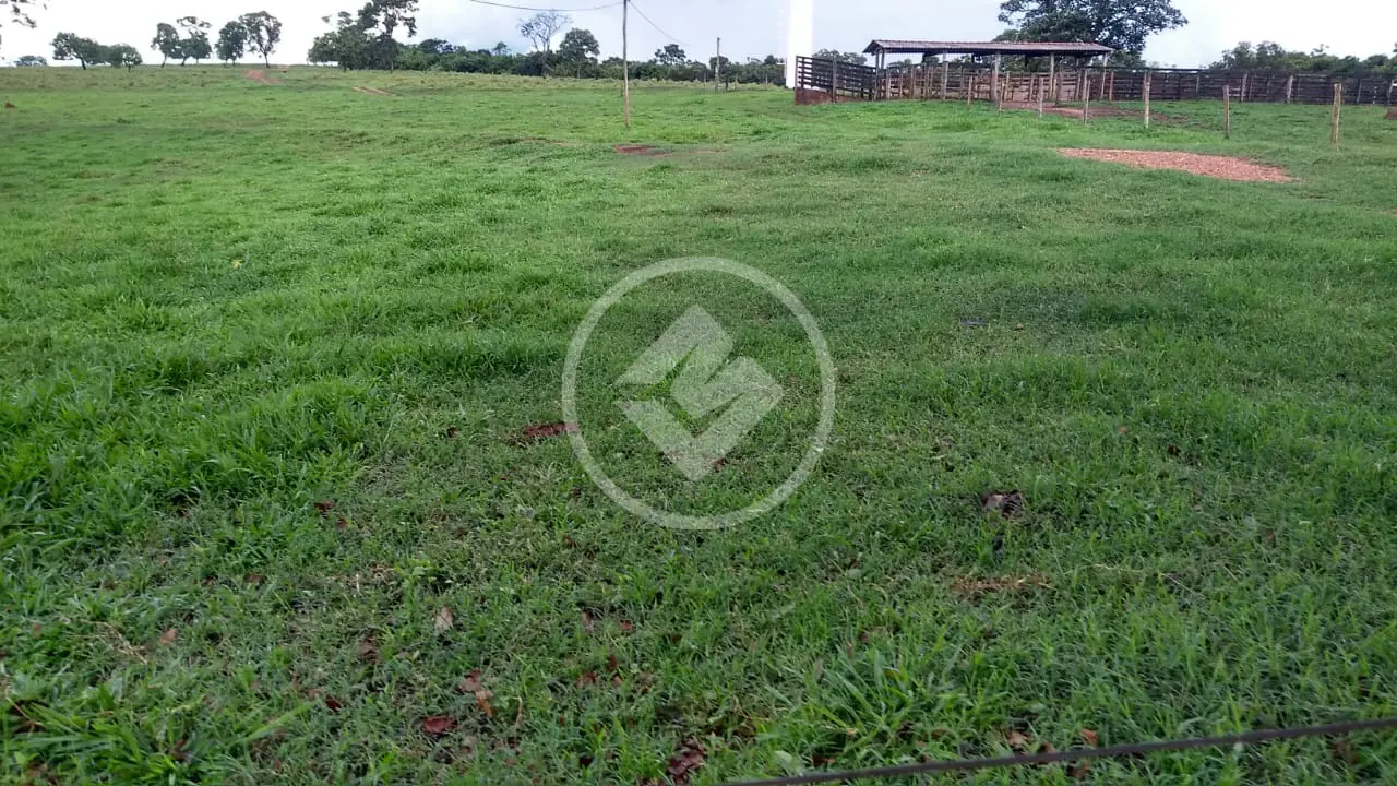 Imagem 4 - Fazenda em Zona Rural, Prata - MG